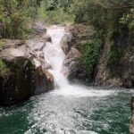 Eungella Platypus Tour - Lunch at a Local Favourite