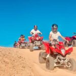Evening Marrakech: Agafay Desert Quad , Camel & Dinner Shows - What To Expect: A Day to Remember