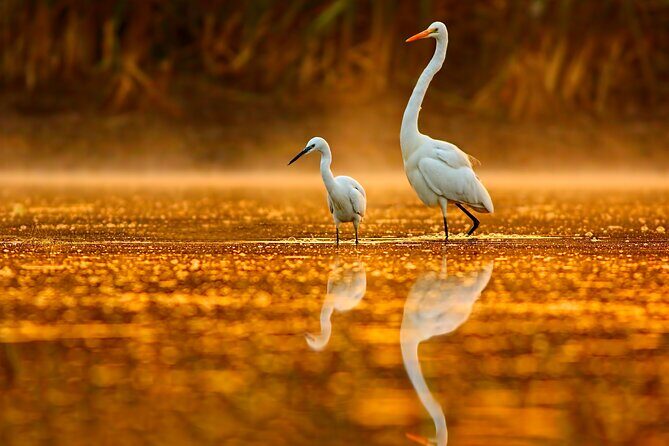 Everglades Explorer - Noosa Everglades Tour - Who Will Love This Tour?
