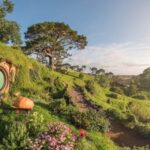 Ex Auckland: Hobbiton & Rotorua Mori Village w Hangi Lunch - First Stop: Whakarewarewa Maori Village
