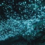 Ex Auckland Spellbound Glowworm & Cave Explorer Private Tour - Frequently Asked Questions