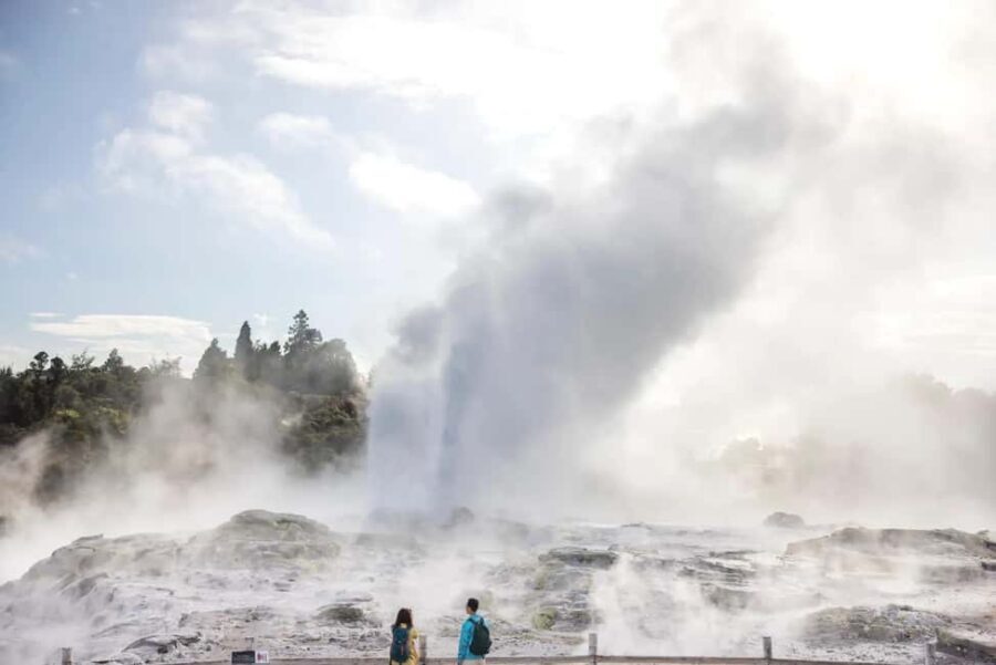 Ex Auckland: TE PUIA Geothermal, Redwood & Blue Springs - Exploring Rotorua on a Day Trip from Auckland