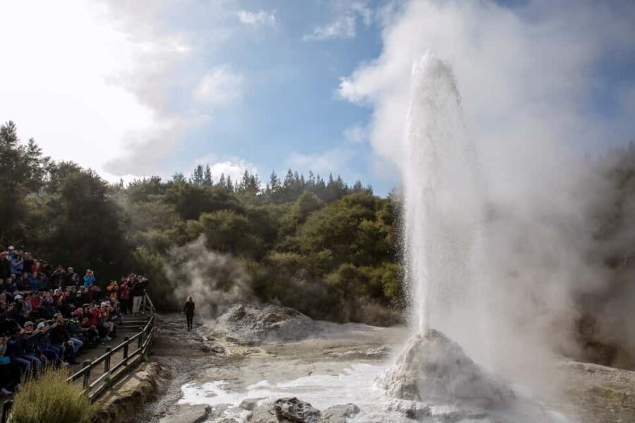 Ex Auckland: TRIPLE DEAL Wai-O-Tapu, Redwood & Blue Springs - Authentic Experiences and Tour Highlights from Reviews