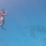 Exceptional Half Day on the Bora Bora Lagoon in Combo - Why This Tour Represents Great Value