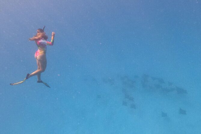 Exceptional Half Day on the Bora Bora Lagoon in Combo - Why This Tour Represents Great Value