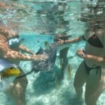 Exceptional Half day on the turquoise lagoon of Bora Bora - Transportation, Timing, and Group Size