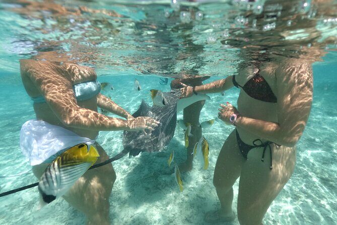 Exceptional Half day on the turquoise lagoon of Bora Bora - Transportation, Timing, and Group Size