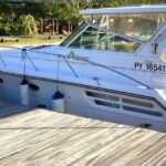Exceptional whale watching in a Tahiti Yacht - Practical Details