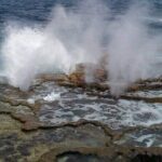 Exclusive Tour of Tongatapu - The Transport & Group Dynamics