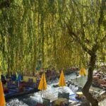 Excursion Ourika Valley ,Berber villages ,Atlas Mountains - Practical Details & Tips