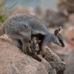 Exmouth: Full day Ningaloo in a Day tour - What could be better?