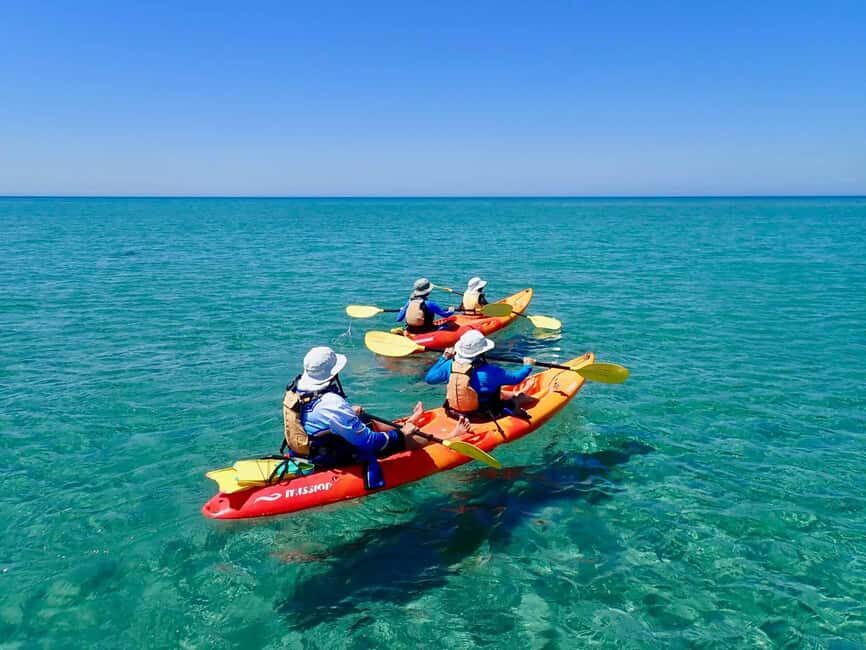 Exmouth: Half Day Turtle Kayak & Snorkel Tour - What’s Included and What’s Not