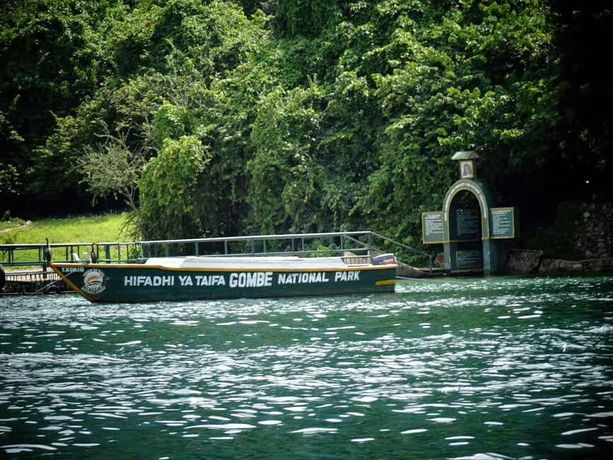 Experience 3 Day Chimps Tracking Gombe Stream National Park - Day 1: From Dar Es Salaam to Kigoma and Gombe