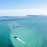 Experience Coffin Bay Oyster Farm and Bay Tour - Who Should Consider This Tour?