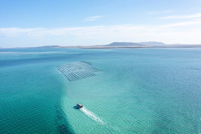Experience Coffin Bay Oyster Farm and Bay Tour - Who Should Consider This Tour?