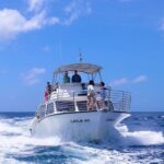 Experience Guam Dolphin Cruise - Is This Tour Right for You?