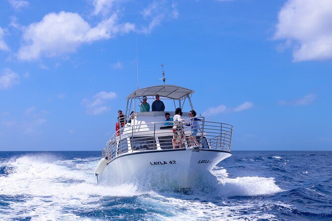 Experience Guam Dolphin Cruise - Is This Tour Right for You?
