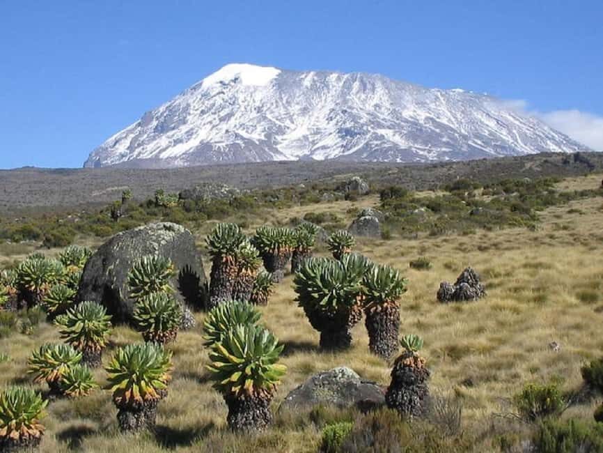 Experience Our Top Best Kilimanjaro Day Hiking Machame Route - FAQs