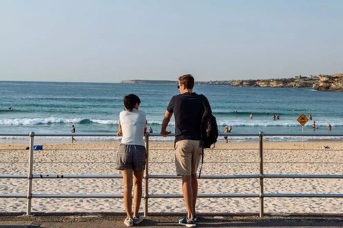 Experience Sydney's Best Beaches: Private Tour - Transport, Duration, and Flexibility