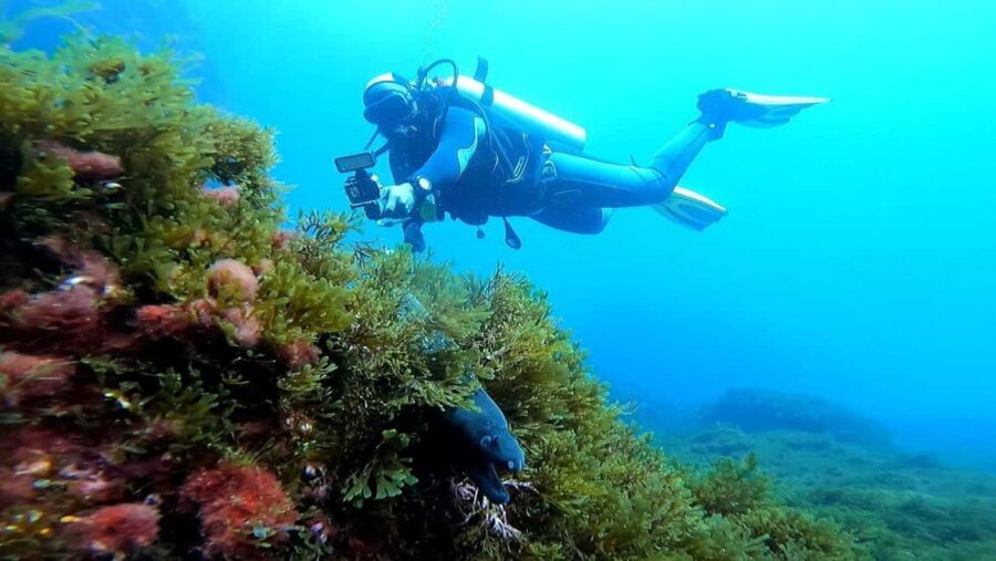 Experience the thrill of diving in Morocco Fun Dives - Authentic Local Guidance and Customization