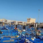 Explore Essaouira's Secrets: A Guided Tour with a Local! - Who Should Consider This Tour?