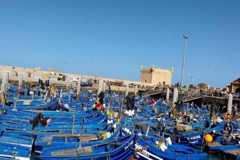 Explore Essaouira's Secrets: A Guided Tour with a Local! - Who Should Consider This Tour?