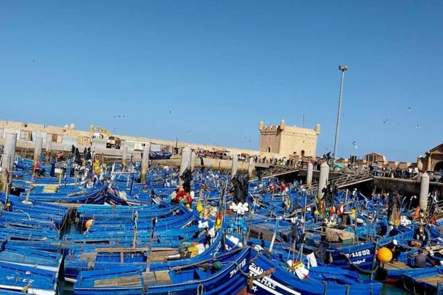 Explore Essaouira's Secrets: A Guided Tour with a Local! - Who Should Consider This Tour?