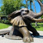 Explore gardens & galleries filled with incredible art, Matakana - Practical Details for Your Visit