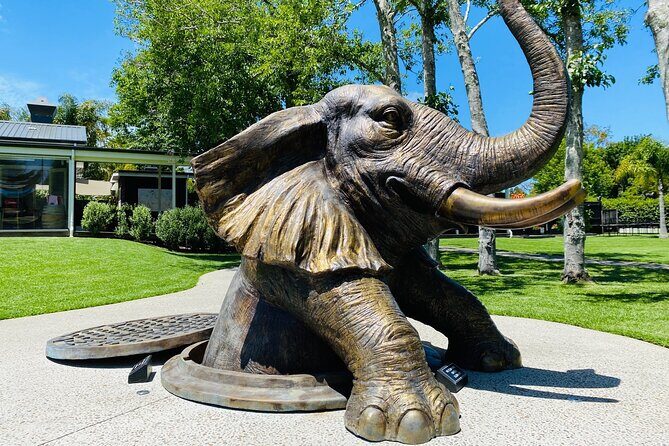 Explore gardens & galleries filled with incredible art, Matakana - Practical Details for Your Visit