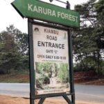 Explore Kenya's history & wildlife! Join me on a journey. - Practical Details and What to Expect