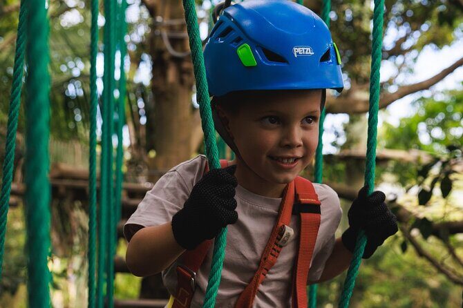 Explore Ourimbah State Forest Junior Tree Ropes Course - The Core Experience: Junior Courses for Young Explorers