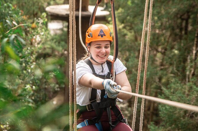 Explore Ourimbah State Forest Tree Ropes Course - The Experience in Detail