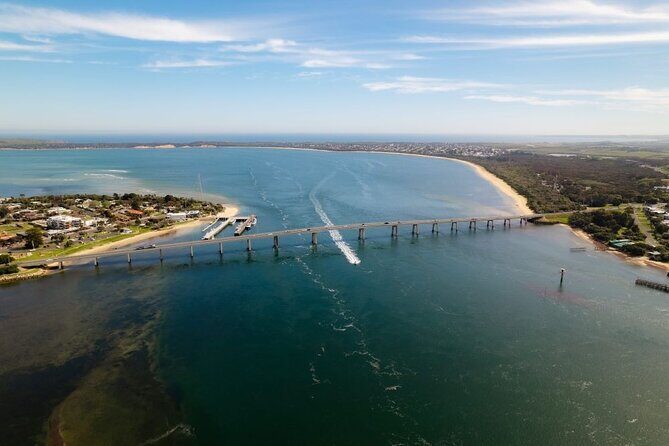 Explore Phillip Island from Melbourne with Penguin Parade - Who Would Love This Tour?