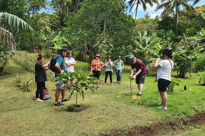 'Explore' Rarotonga Guided Bike Tour with Lunch and Swim - Why This Tour Is Worth Considering