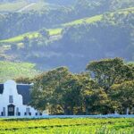 Explore Stellenbosch, Paarl, & Franschhoek Private Wine Tour - Discovering Stellenbosch