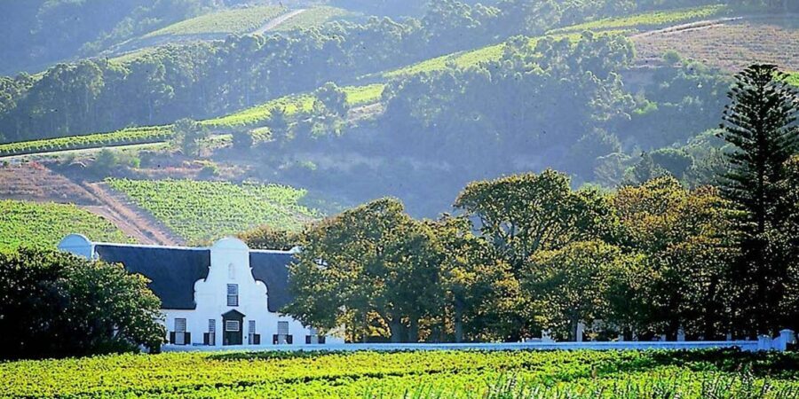 Explore Stellenbosch, Paarl, & Franschhoek Private Wine Tour - Discovering Stellenbosch