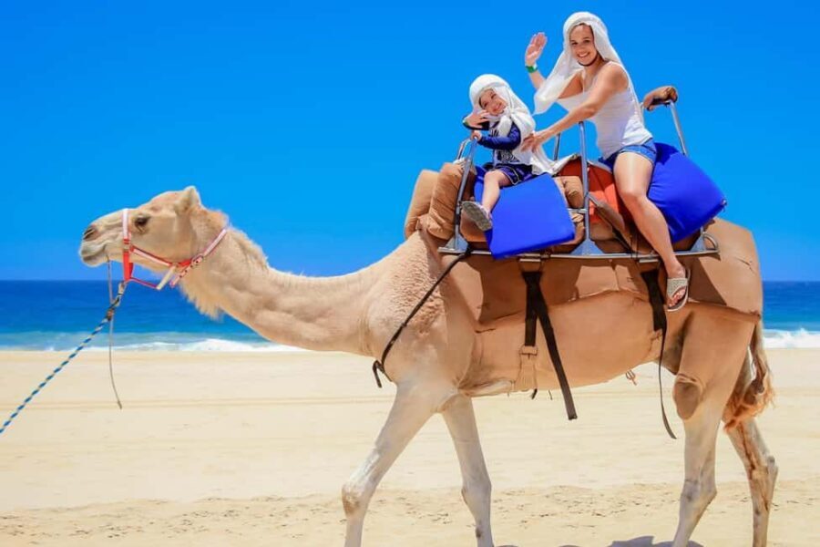 Explore Tangier: Cap Spartel, Cave, & Camel Ride Adventure - Transportation and Group Size