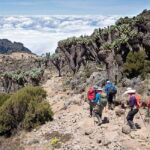 Explore the 7 Days Machame Route Climbing Kilimanjaro - Introduction: The Allure of Kilimanjaro’s Machame Route