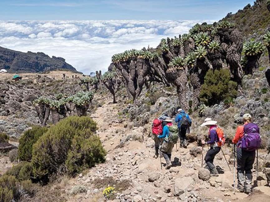 Explore the 7 Days Machame Route Climbing Kilimanjaro - Introduction: The Allure of Kilimanjaro’s Machame Route