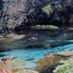 Explore The Lakes Tour - What’s Included and What’s Not