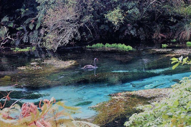Explore The Lakes Tour - What’s Included and What’s Not