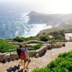 Explore the Peninsula Like Never Before: - Discovering the Penguin Colony: Boulders Beach