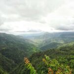 Explore the Southwest with Local Lunch & Rum Tasting - The Sum Up: Why This Tour Could Be Your Best Choice