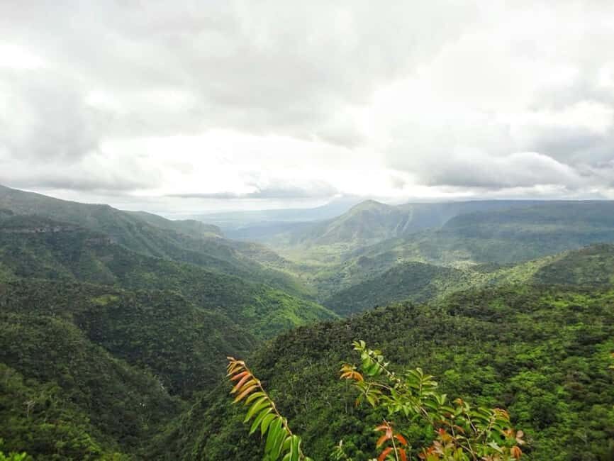 Explore the Southwest with Local Lunch & Rum Tasting - The Sum Up: Why This Tour Could Be Your Best Choice