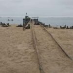 Explore Walvisbay: Ultimate Birding & Photography Experience - The Itinerary Breakdown