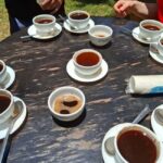 Fairview Coffee Estate day Tour - Why This Tour Is Worth Considering