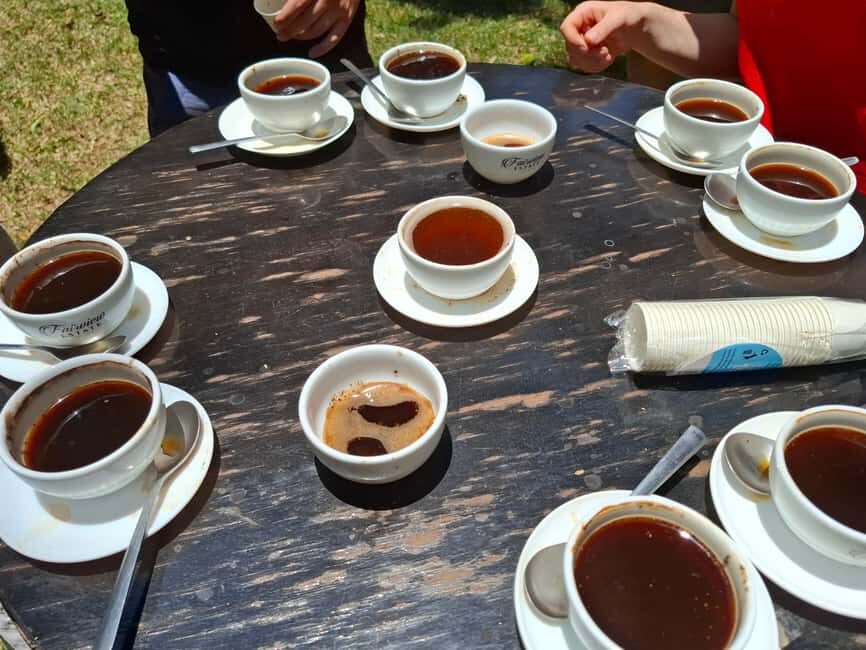Fairview Coffee Estate day Tour - Why This Tour Is Worth Considering