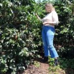 FAIRVIEW COFFEE FARM DAY TOUR - A Closer Look at the Fairview Coffee Farm Day Tour