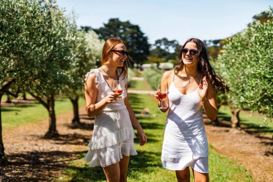Farm Picnic for 2 adults - Practical Tips for Your Visit