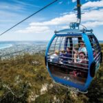 Farmer's Lunch and Arthurs Seat Eagle Cable Car Ride - For 2 - Delicious Farm-to-Table Lunch at Green Olive